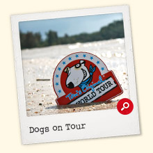 Bild vergr&ouml;&szlig;ern